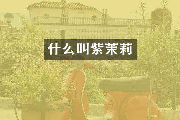 什么叫紫茉莉