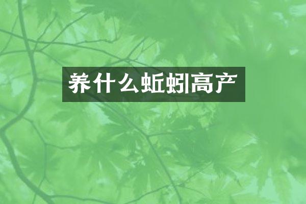 养什么蚯蚓高产