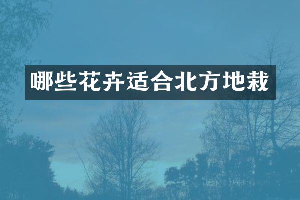 哪些花卉适合北方地栽