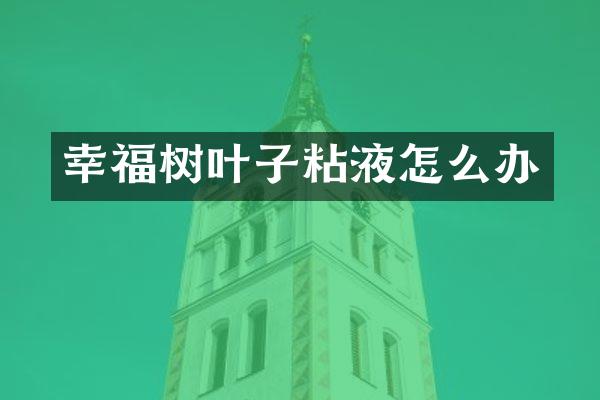 幸福树叶子粘液怎么办