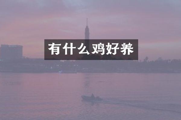 有什么鸡好养
