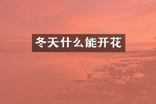 冬天什么能开花