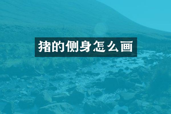 猪的侧身怎么画