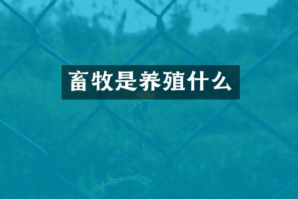 畜牧是养殖什么