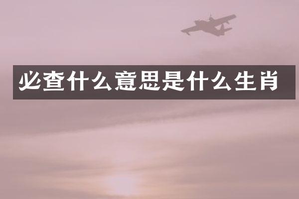 必查什么意思是什么生肖