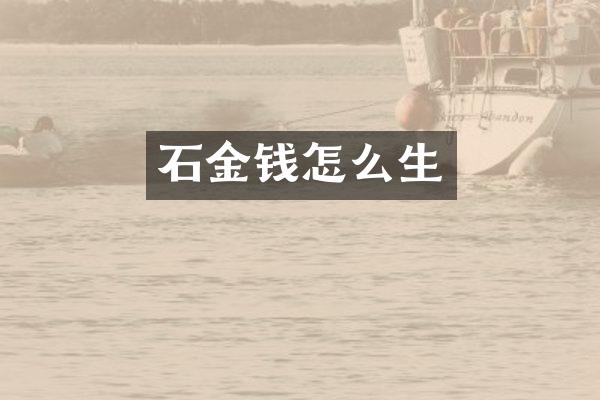 石金钱怎么生