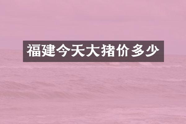 福建今天大猪价多少