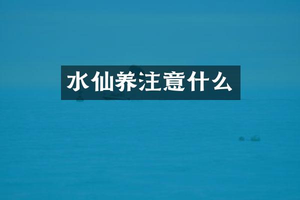 水仙养注意什么