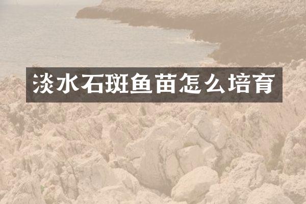 淡水石斑鱼苗怎么培育
