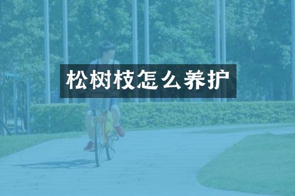 松树枝怎么养护