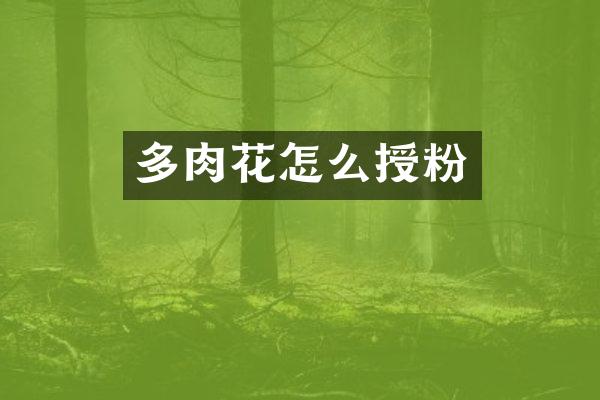 多肉花怎么授粉