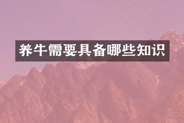 养牛需要具备哪些知识