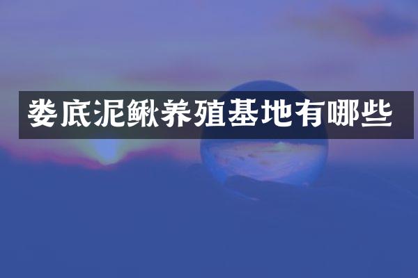 娄底泥鳅养殖基地有哪些