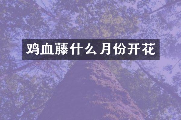 鸡血藤什么月份开花