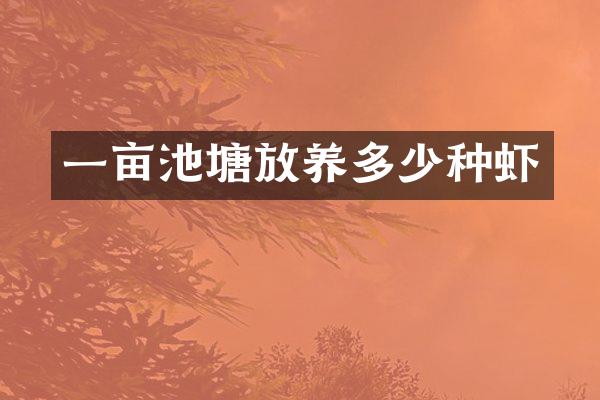 一亩池塘放养多少种虾