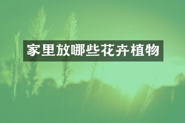 家里放哪些花卉植物