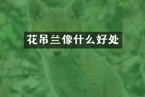 花吊兰像什么好处
