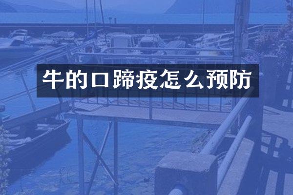 牛的口蹄疫怎么预防