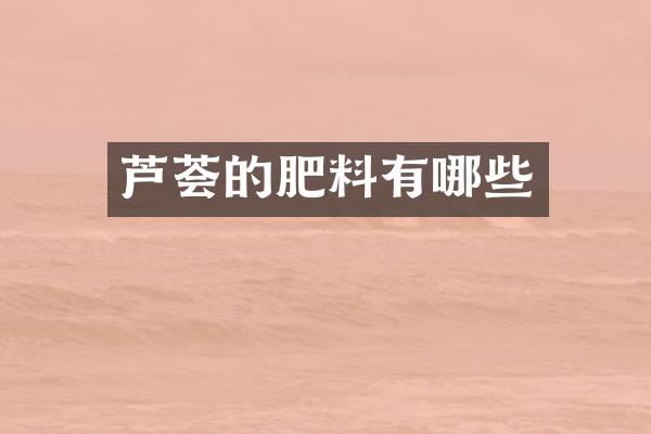 芦荟的肥料有哪些