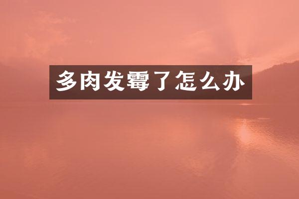 多肉发霉了怎么办
