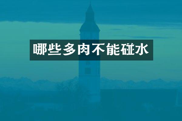 哪些多肉不能碰水