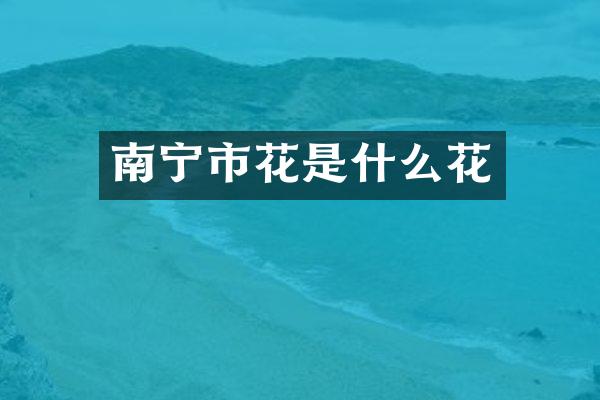 南宁市花是什么花
