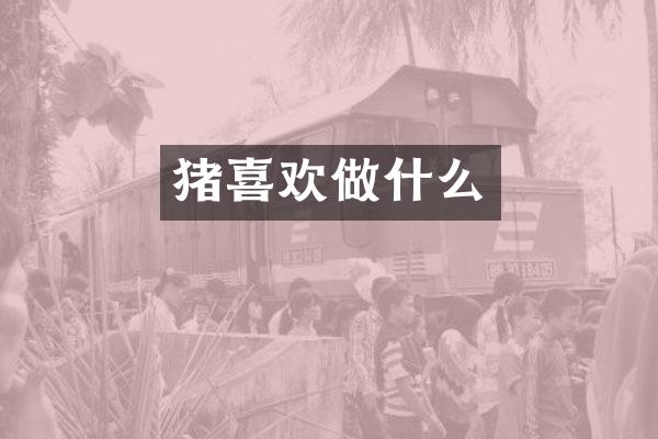 猪喜欢做什么