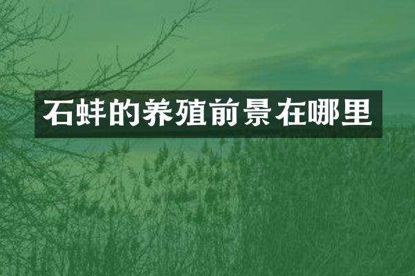 石蚌的养殖前景在哪里