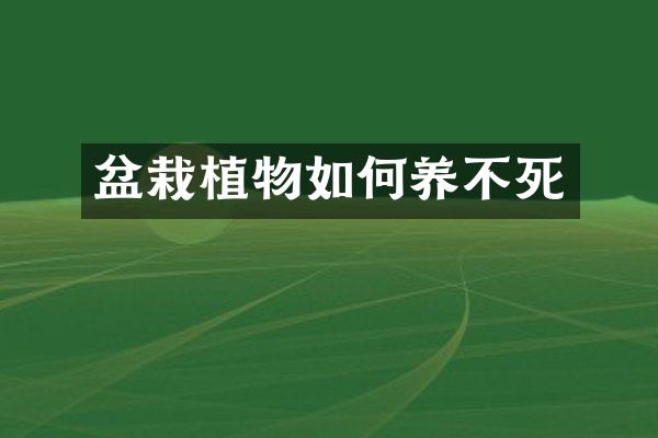 盆栽植物如何养不死