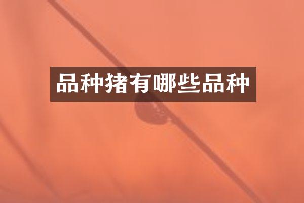 品种猪有哪些品种