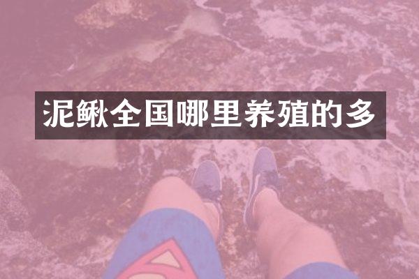 泥鳅全国哪里养殖的多