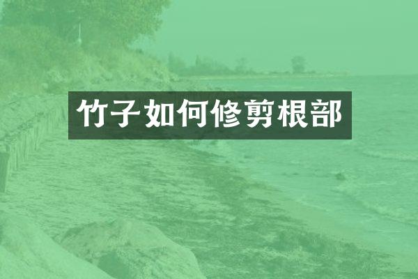 竹子如何修剪根部