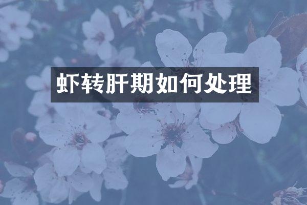 虾转肝期如何处理