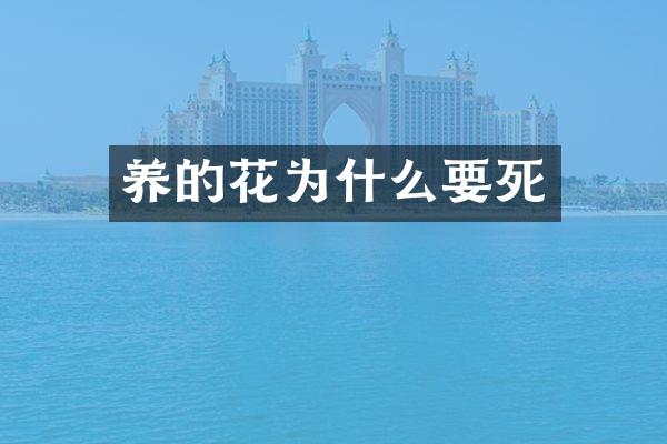 养的花为什么要死