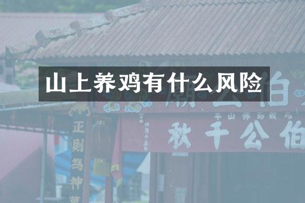 山上养鸡有什么风险