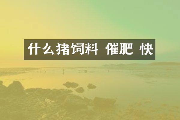 什么猪饲料 催肥 快