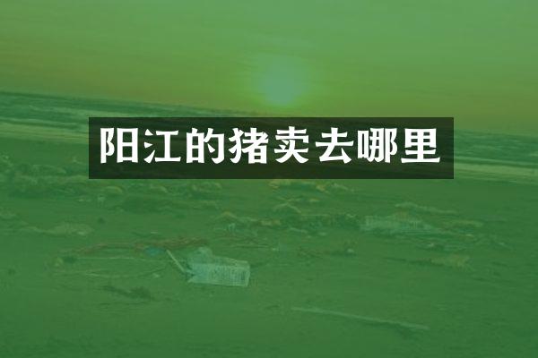 阳江的猪卖去哪里