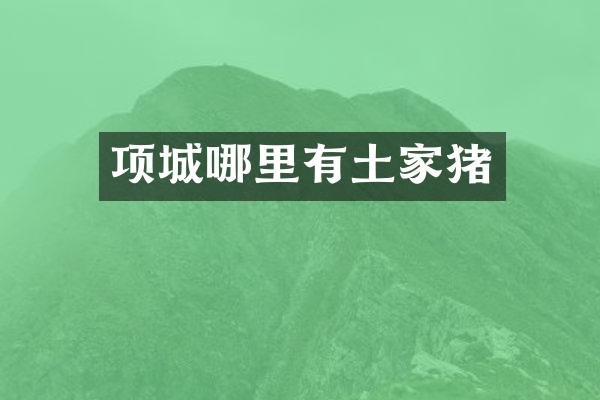 项城哪里有土家猪