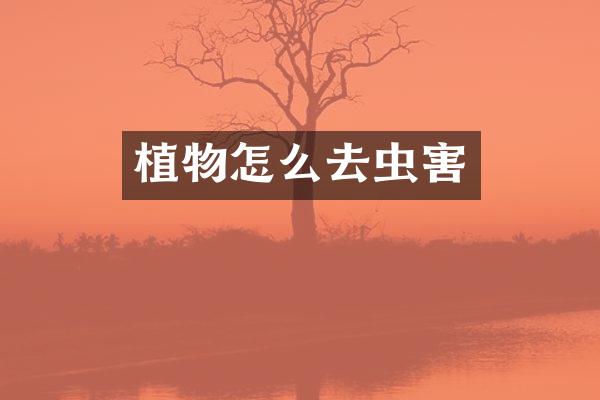 植物怎么去虫害