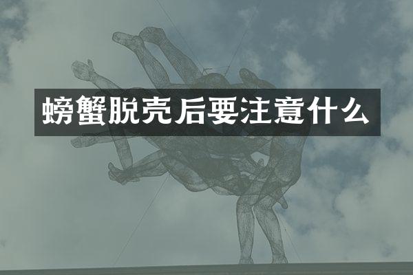 螃蟹脱壳后要注意什么