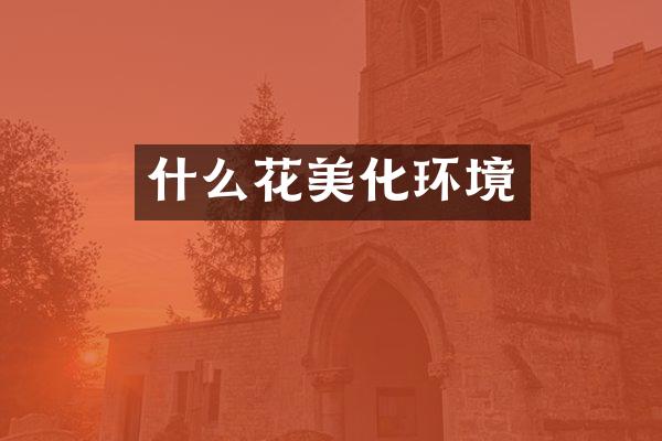 什么花美化环境