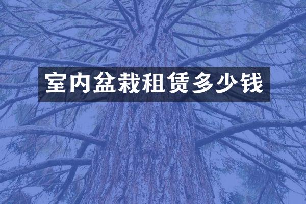 室内盆栽租赁多少钱
