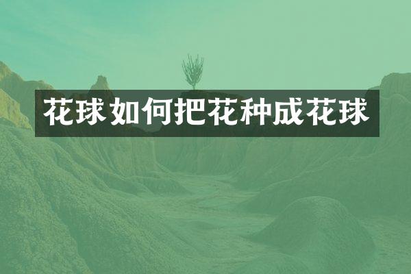花球如何把花种成花球