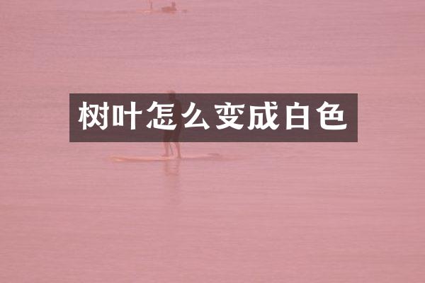 树叶怎么变成白色