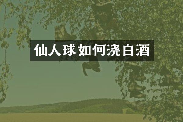 仙人球如何浇白酒