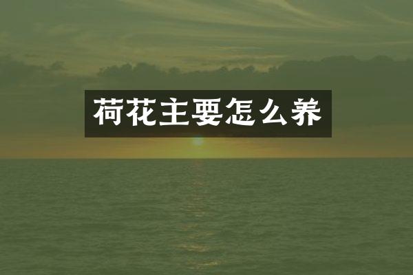 荷花主要怎么养