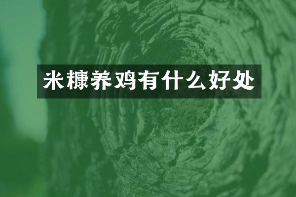 米糠养鸡有什么好处