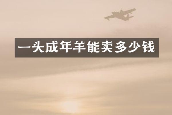 一头成年羊能卖多少钱
