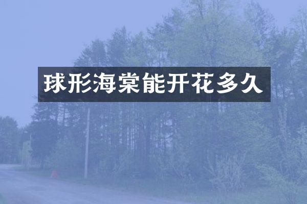 球形海棠能开花多久