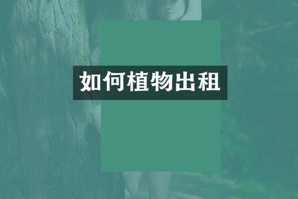 如何植物出租